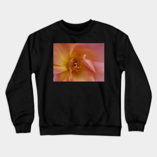 Starburst Crewneck Sweatshirt